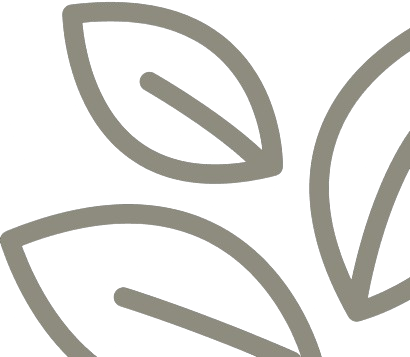 Leaf Image